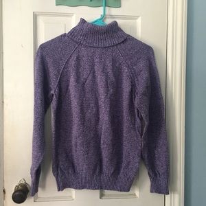 Karen Scott Turtleneck